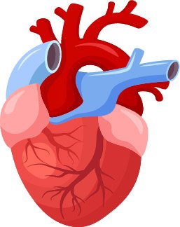 ballon-valvotomy,heart-doctor-in-gurugram,heart-doctor-in-bhiwani, cardiologist-in-bhiwani